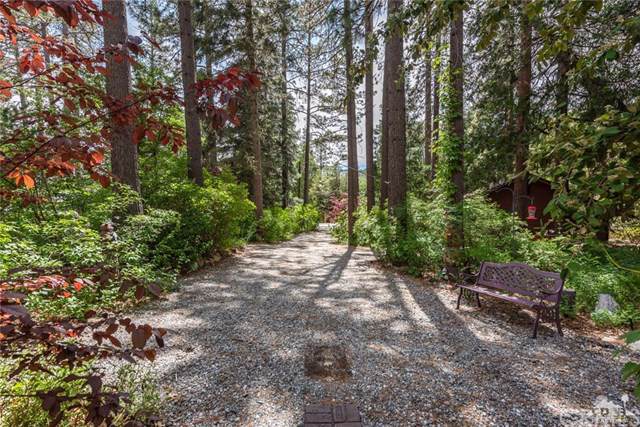 25230 Lodge Road - Photo 1