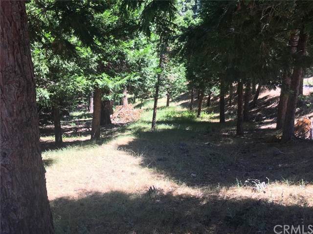 28980 White Dove Lane - Photo 1