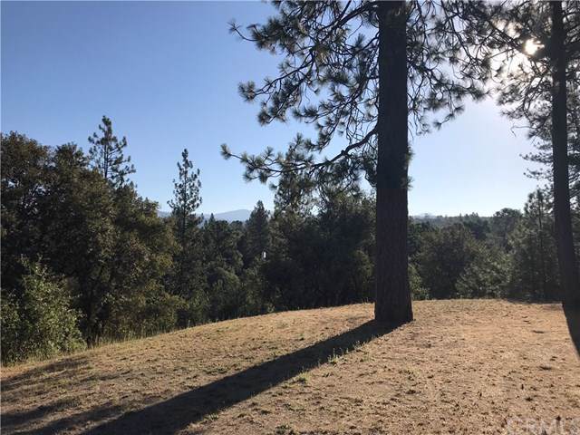 0-3.61 AC Meadowwood Road - Photo 1