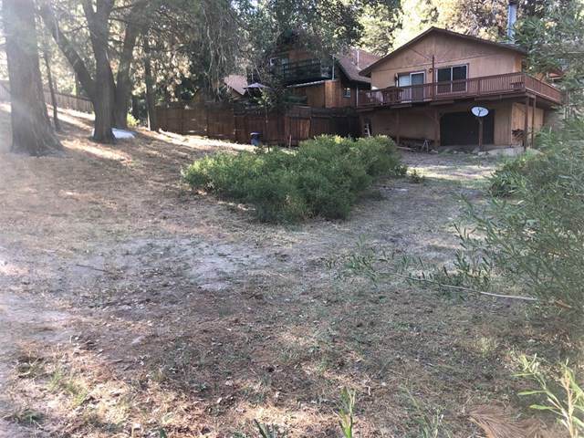33428 Wild Rose Dr - Photo 1