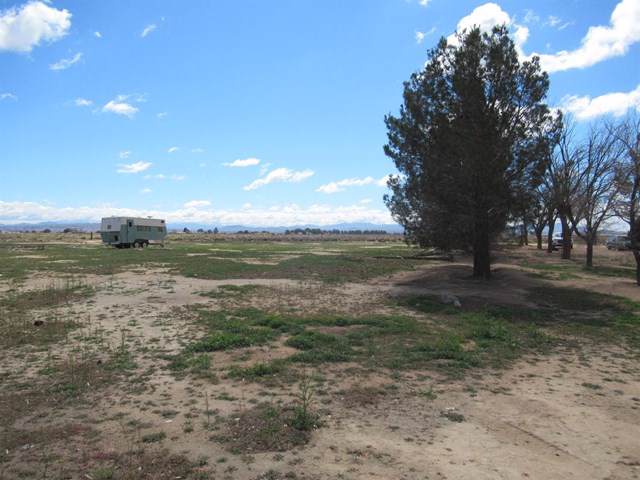 37116 Dixie Road - Photo 1