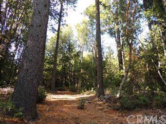 0 Bald Rock - Photo 1