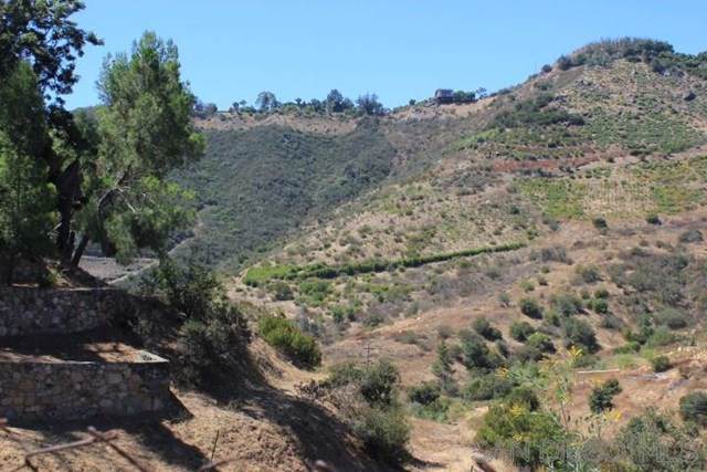 10054 Gomez Creek Rd - Photo 1