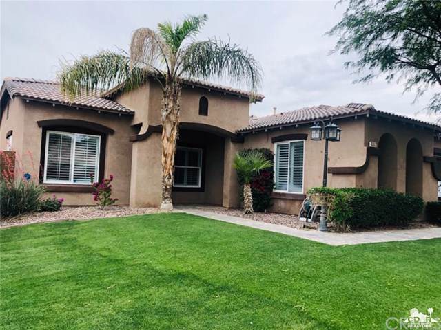 40667 Bear Creek Street - Photo 1
