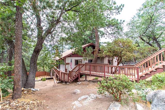 24795 Schaffer Drive - Photo 1
