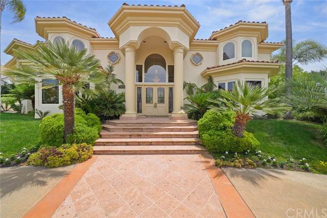 28572 Paseo Zorro - Photo 1