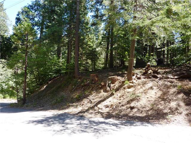 865 Maple Road - Photo 1
