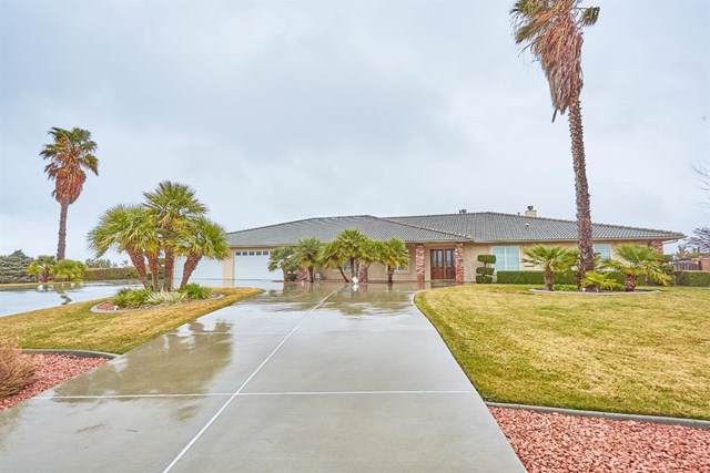7151 Coriander - Photo 1