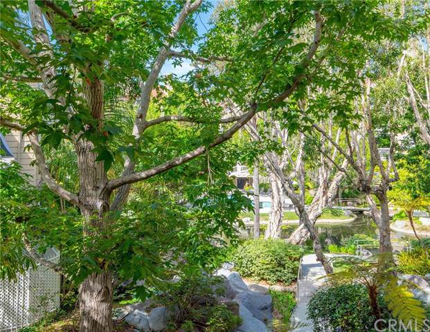 20371 Bluffside Circle - Photo 1