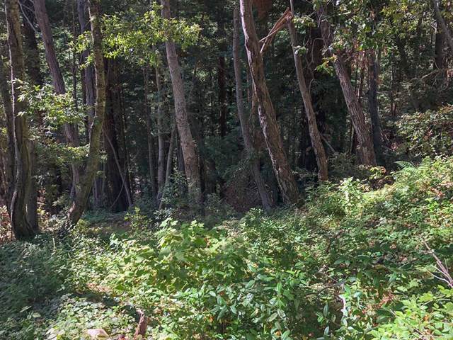0 Garrapatos Road - Photo 1