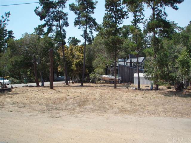 1213 Warren Road - Photo 1