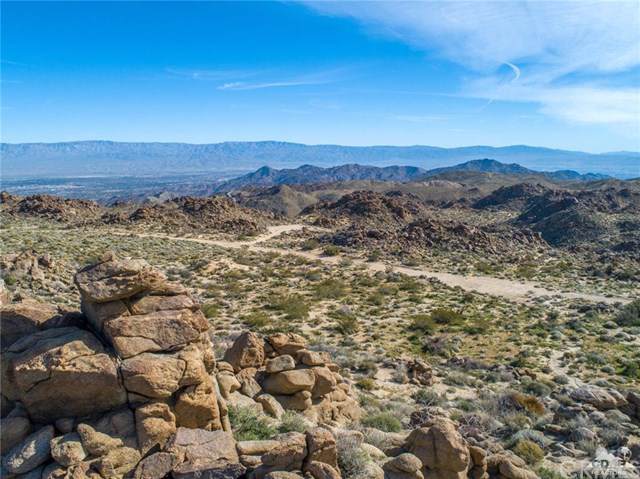 Desert Calico - Photo 1