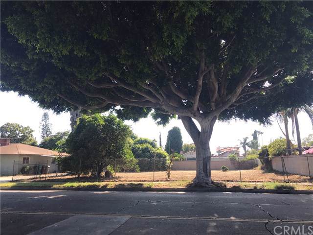 2828 Flower Street - Photo 1
