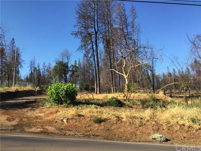747 Bille Road - Photo 1