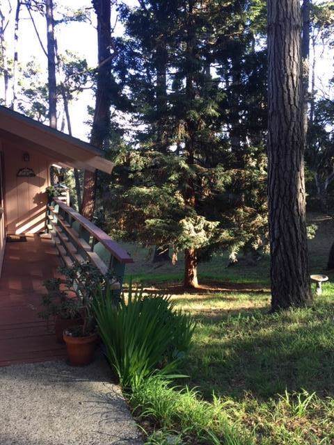 4087 Crest Road - Photo 1