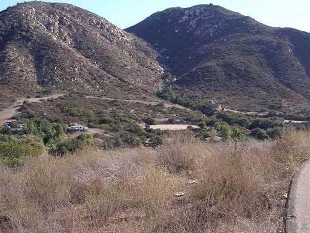 0 Old Highway 80 - Photo 1