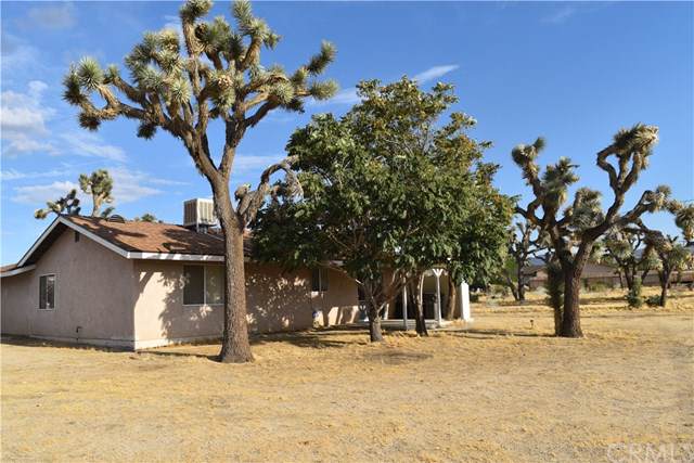 6546 Prescott Avenue - Photo 1
