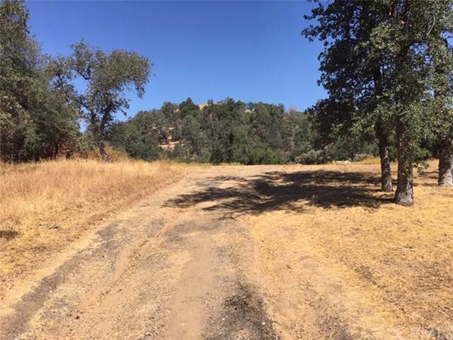 0-13.07 AC Northstar Lane - Photo 1