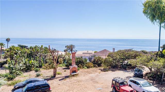 32050 Pacific Coast - Photo 1