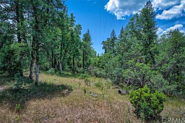 0 Ca-299 Montgomery Creek - Photo 1