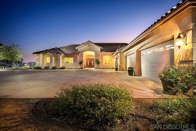 30029 Mckenna Heights Court - Photo 1