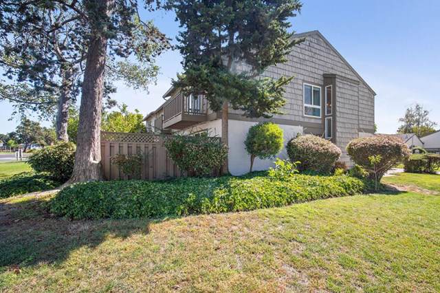 804 Cortez Lane - Photo 1