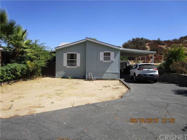 30000 Hasley Canyon Road - Photo 1