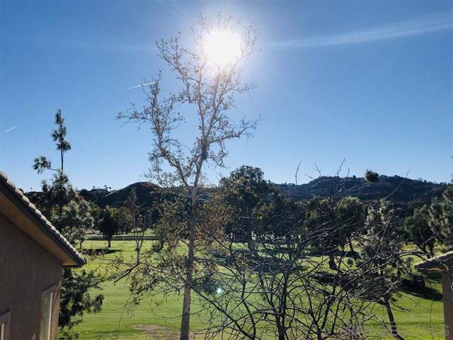 3239 Dehesa Rd - Photo 1