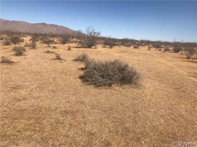 0 Valley Vista Avenue - Photo 1