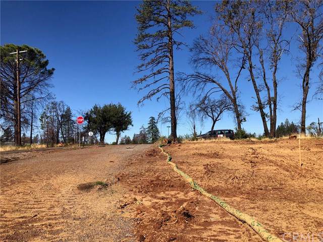 5734 Black Olive Drive - Photo 1