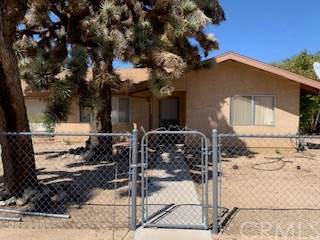 56422 Antelope - Photo 1