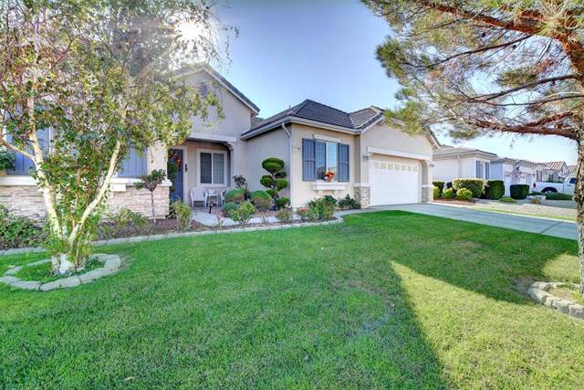 11168 Dandelion Lane - Photo 1