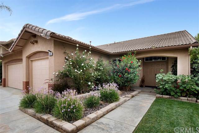 30305 Avenida Caylee - Photo 1