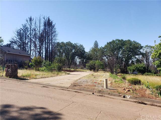 2380 Tokay Court - Photo 1