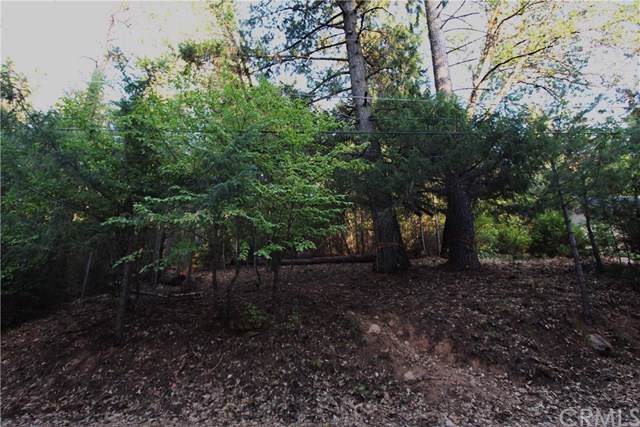 11836 Western Pine Road - Photo 1