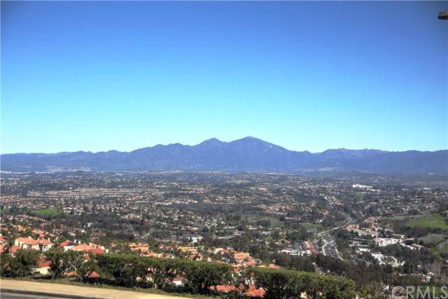 30952 Ariana Lane - Photo 1