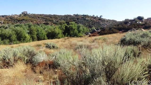 48880 Lake Canyon Drive - Photo 1