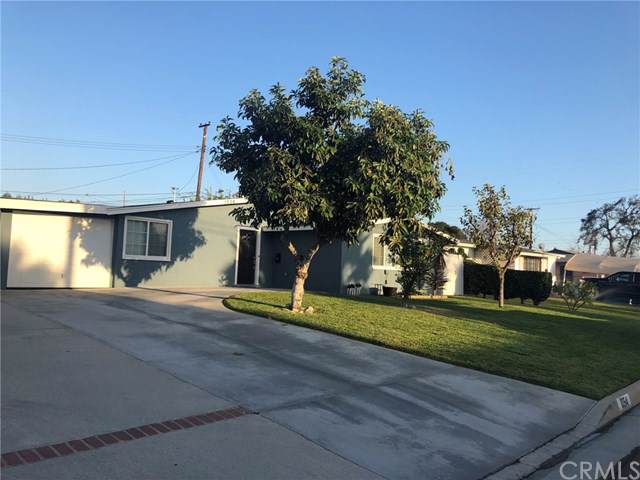 1054 Forestdale Avenue - Photo 1