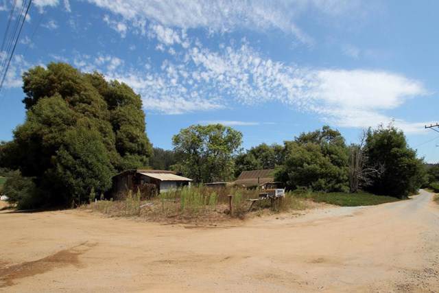 295 Willow Creek Drive - Photo 1