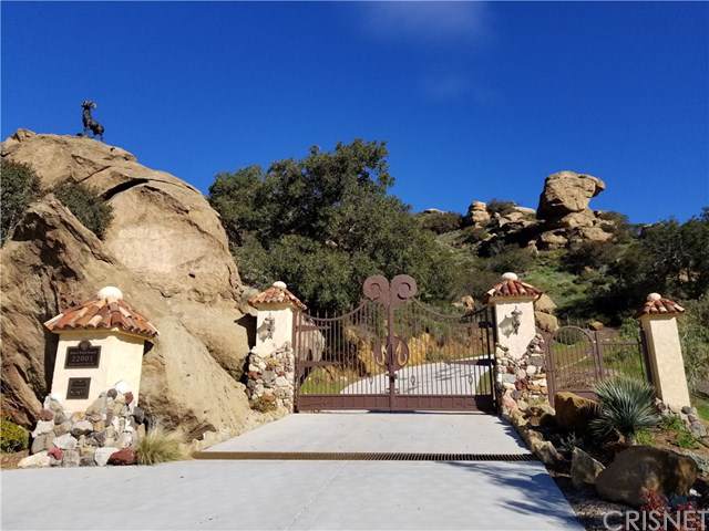 22001 Santa Susana Pass Road - Photo 1