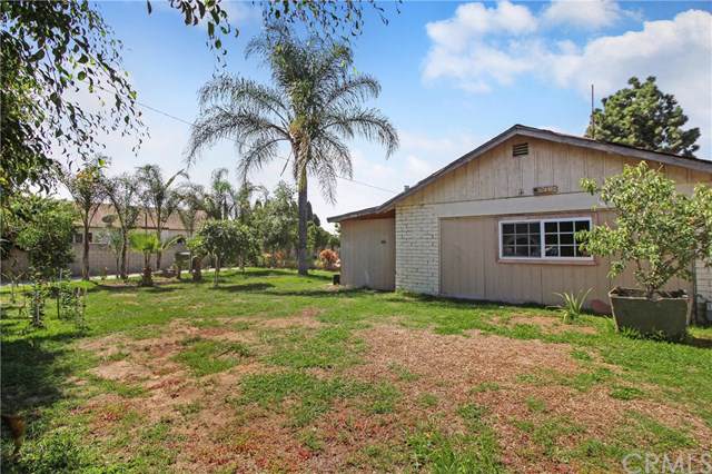 1015 Citron Street - Photo 1