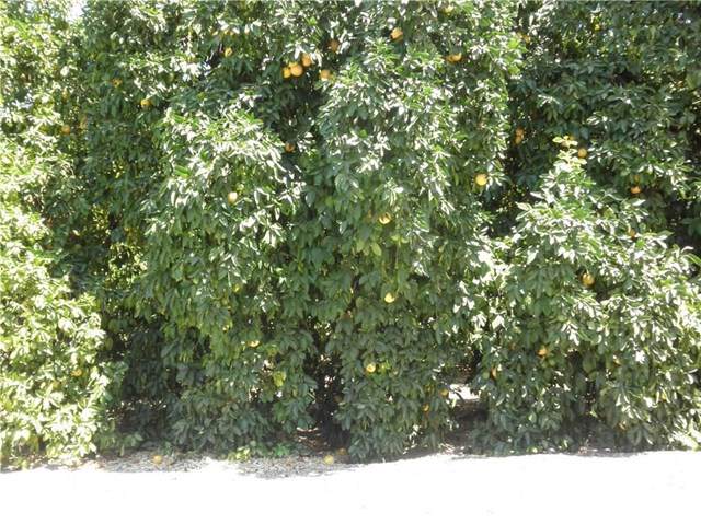 27110 Hemet Street - Photo 1