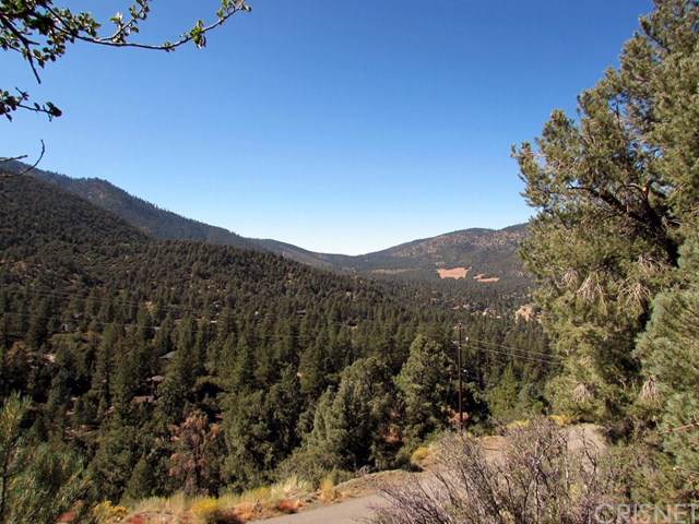 1824 Saint Anton Drive - Photo 1