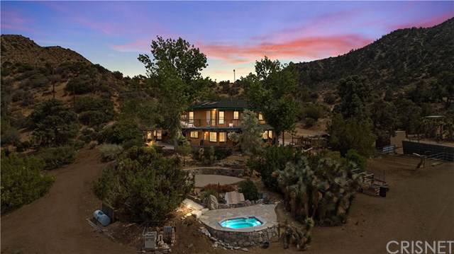 29025 Pinon Road - Photo 1