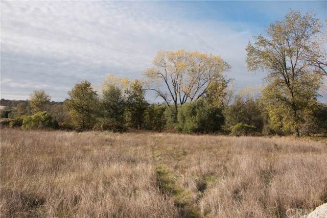 0 Miners Ranch Road - Photo 1