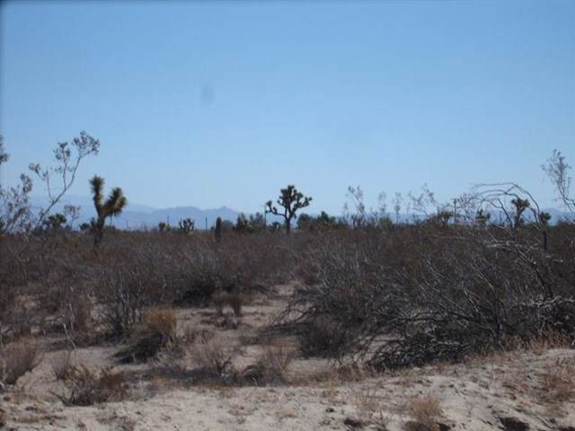 0 Monte Vista (Aster) Road - Photo 1