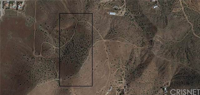 0 Vac/1 Mi Nw Sierra Hwy/1-5 Mi - Photo 1