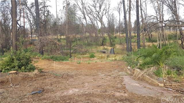 5621 Sierra Park Drive - Photo 1