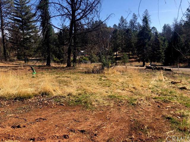1581 Sawpeck Way - Photo 1