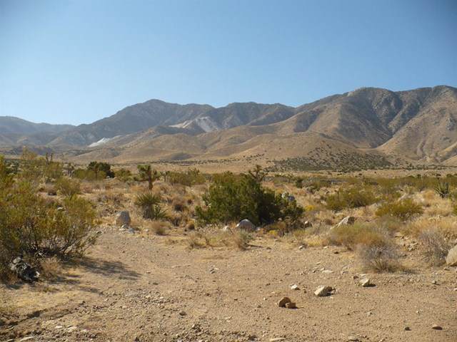 0 N352 - Powerline Road - Photo 1